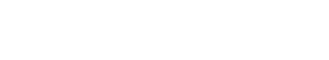 Essent Reinsurance LTD. Logo